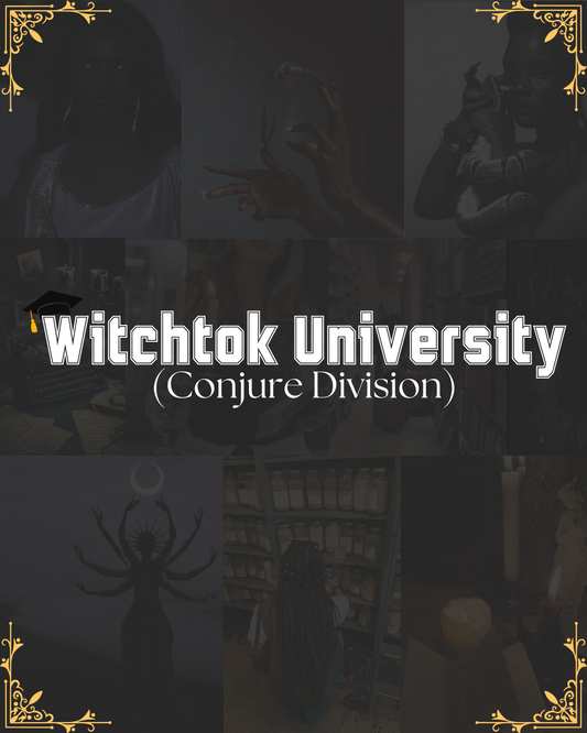 Witchtok University: The Conjure Division Series